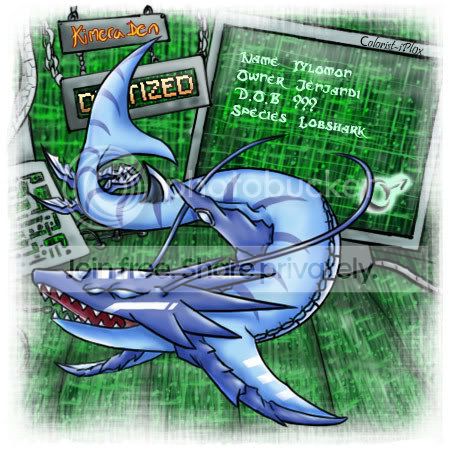 User Image